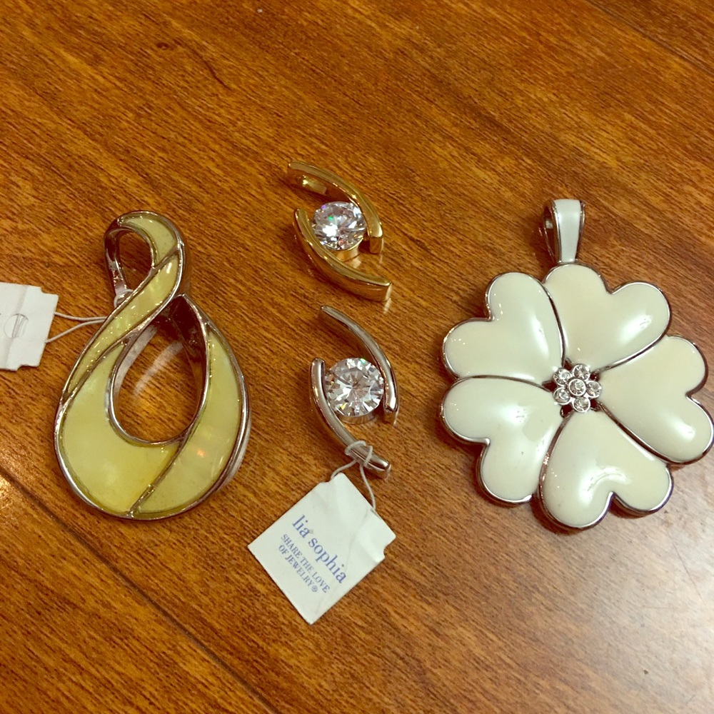 Georgeous Large Lia Sophia Necklace Charms